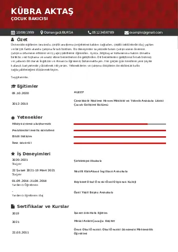 Çocuk Bakıcısı CV Örnekleri cv indir